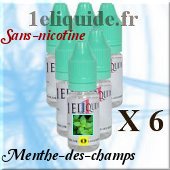 e-cigarette E-liquide-Menthe-des-champssans nicotine60 Ml