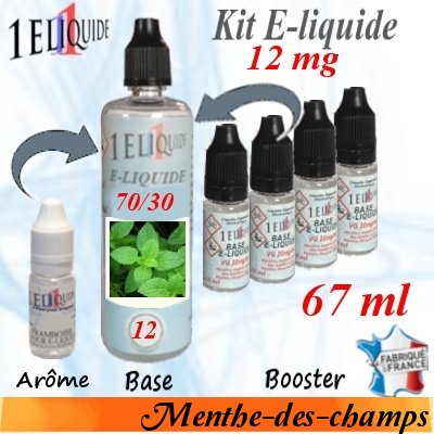 E-liquide-Menthe-des-champs-12mg 70/30