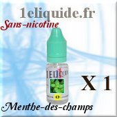 E-liquide-parfum Menthe-des-champssans nicotine10 Ml